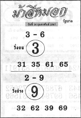 ม้าสีหมอก16-2-67