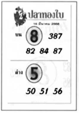 ปลาทองใบ-16-03-68