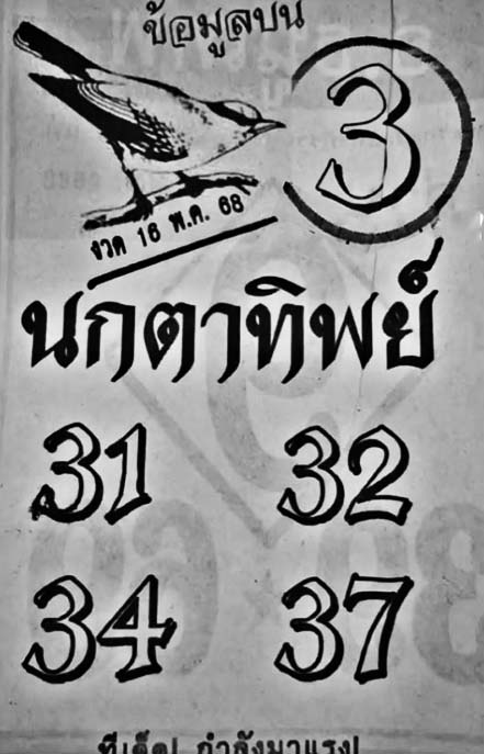 นกตาทิพย์-16-05-68