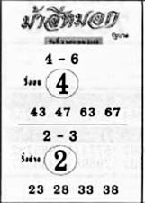 ม้าสีหมอก-02-01-69