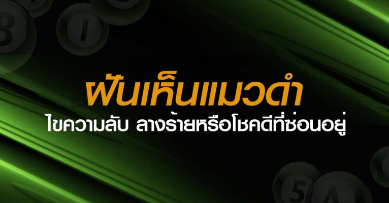 ฝันเห็นแมวดำ