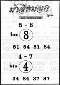 ม้าสีหมอก-17-01-69