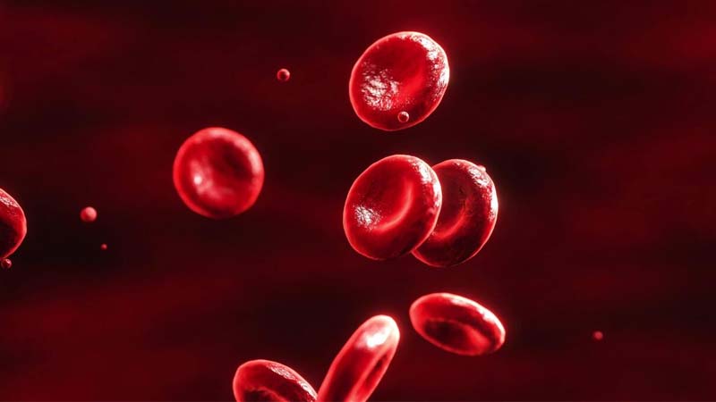 ฝันเห็นเลือดเลขเด็ด