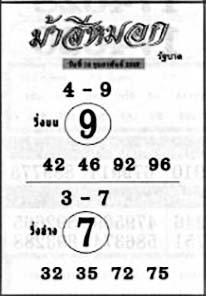 ม้าสีหมอก-16-02-69