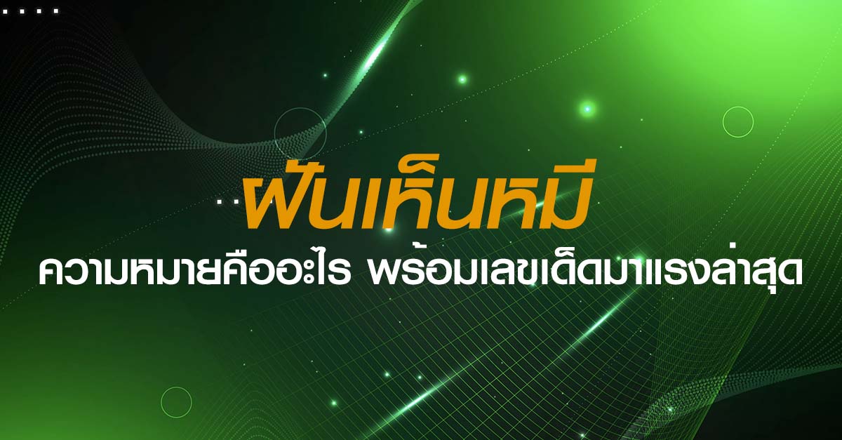 ฝันเห็นหมี